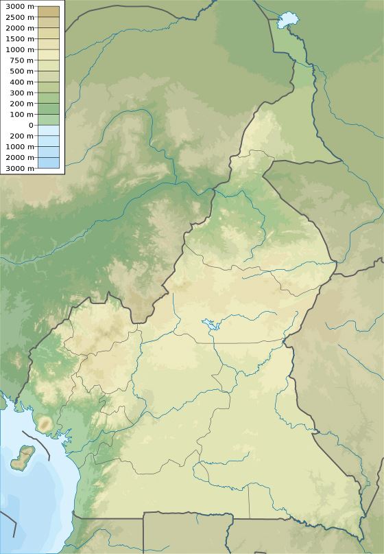 Grande detallado mapa de elevación de Camerún