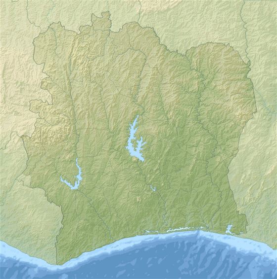 Grande relieve mapa de Costa de Marfil
