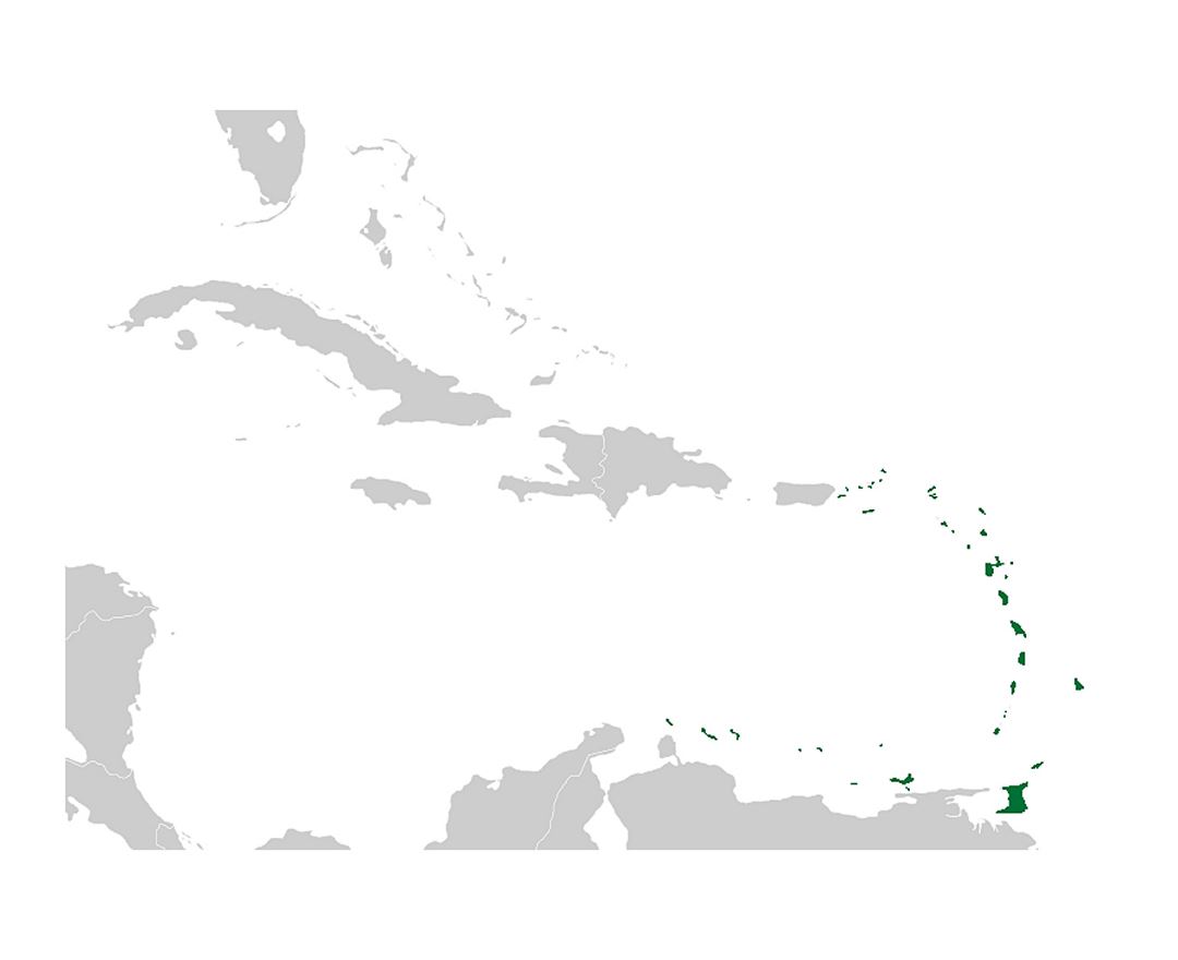 Mapa De Las Antillas En Blanco