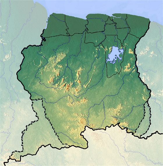 Detallado mapa en relieve de Surinam