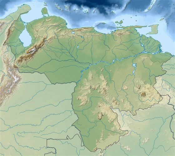 Grande mapa en relieve de Venezuela