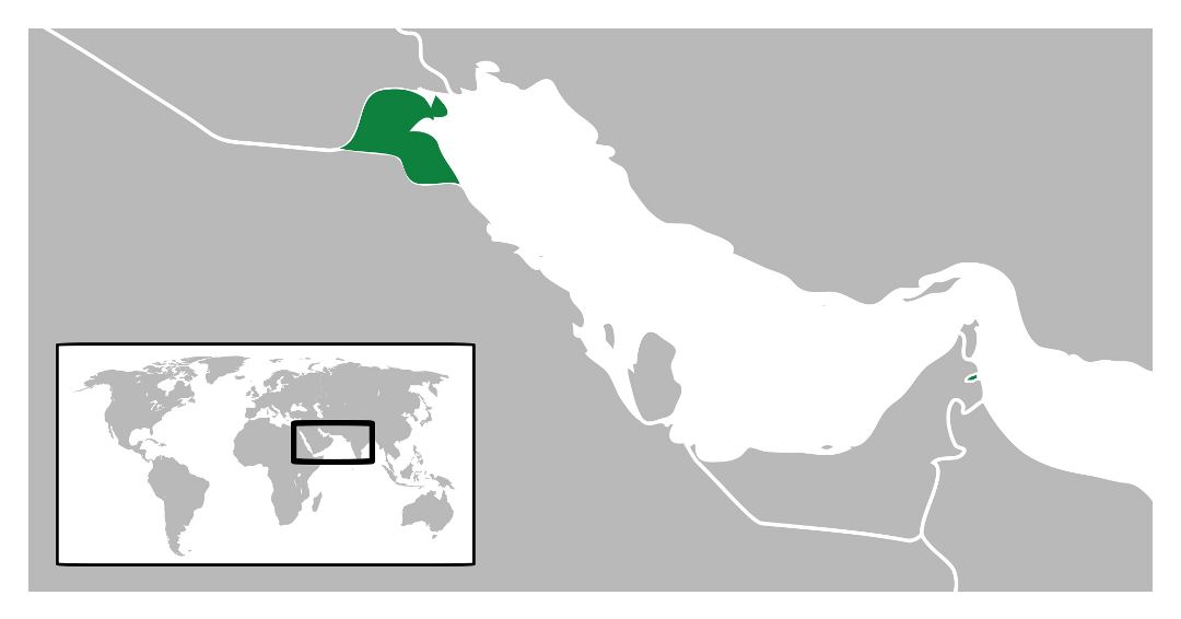 Grande mapa de ubicación de Kuwait