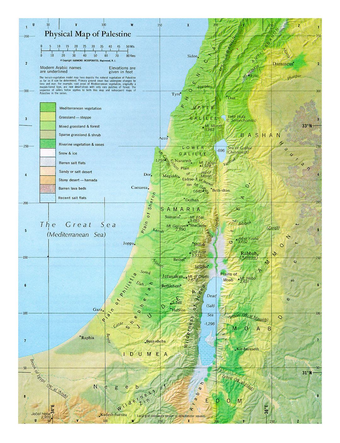 Detallado mapa físico de Palestina