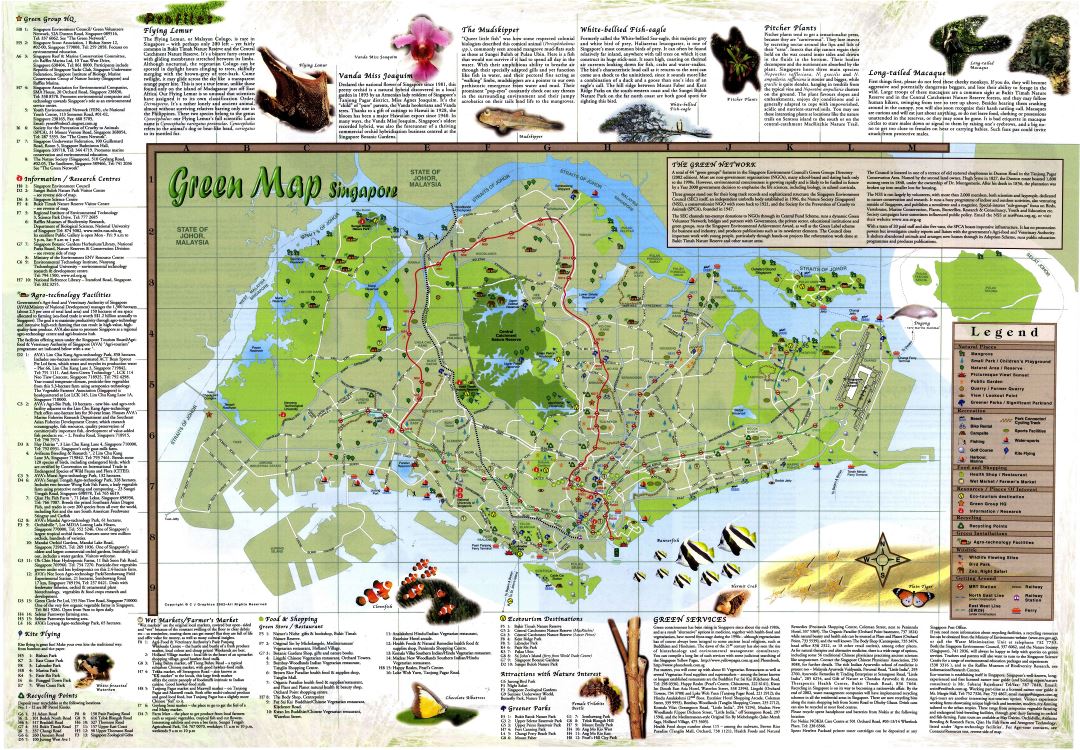 Grande detallado mapa verde de Singapur