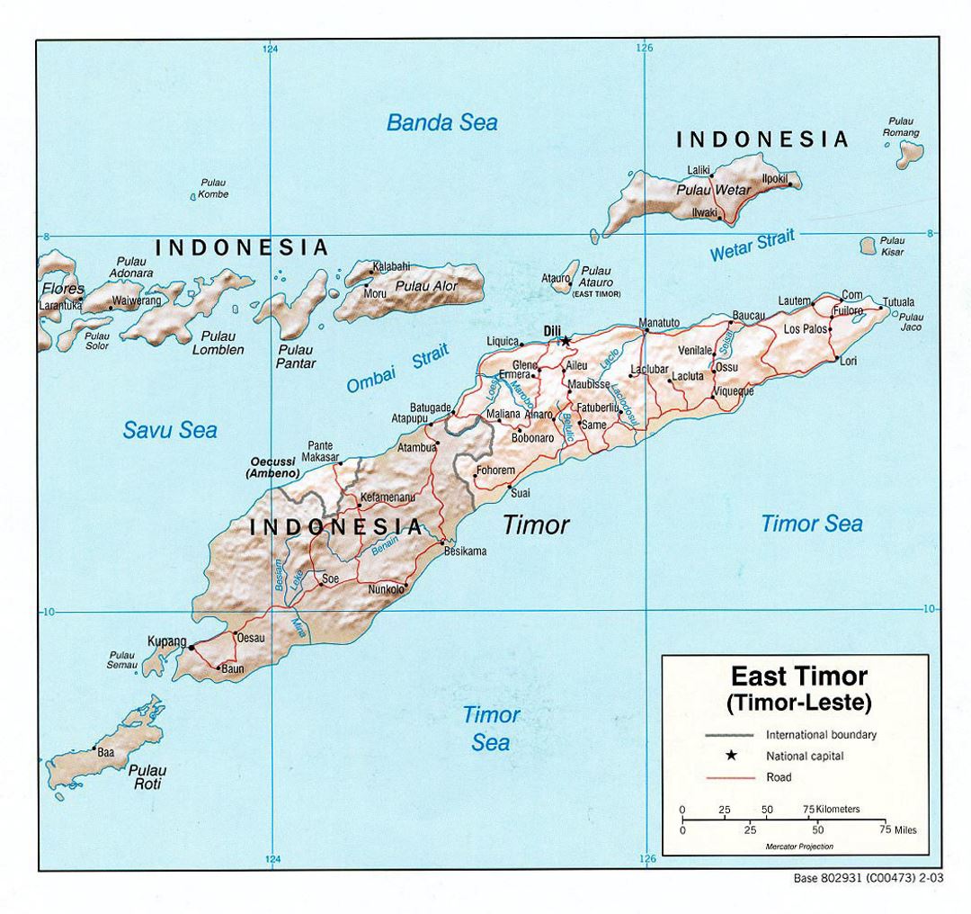 Detallado mapa político de Timor Oriental con relieve, carreteras y principales ciudades - 2003