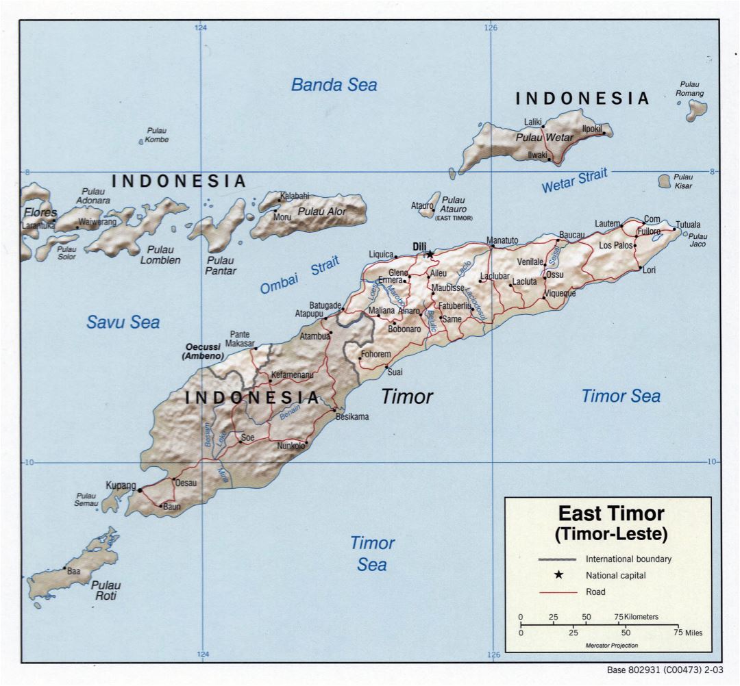 Grande detallado mapa político de Timor Oriental con socorro, carreteras y principales ciudades - 2003