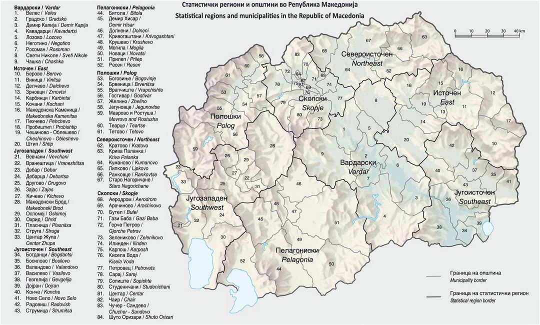 Grande mapa de las regiones y municipios estadísticos en la República de Macedonia